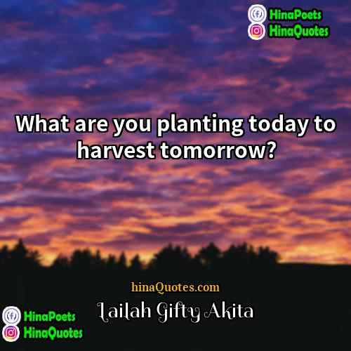 Lailah  Gifty  Akita Quotes | What are you planting today to harvest